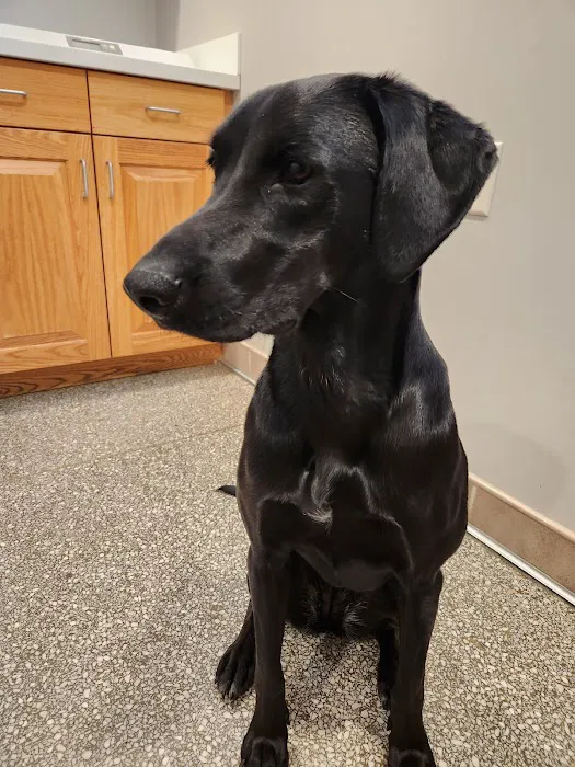 VCA Lancaster Animal Hospital 3