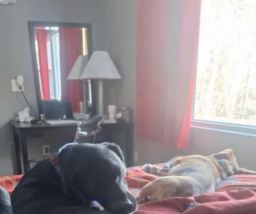 Banfield Pet Hospital