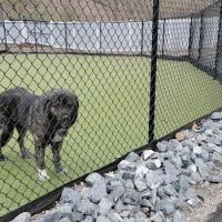 Berlin Animal Hospital ico