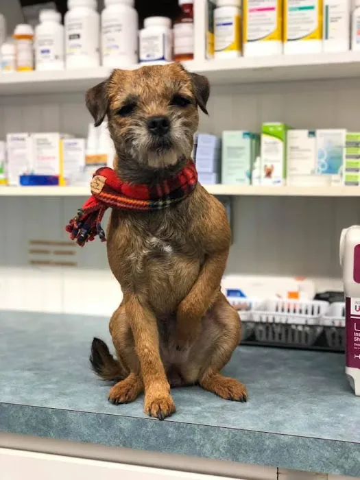 Fallon Animal Clinic Inc 5