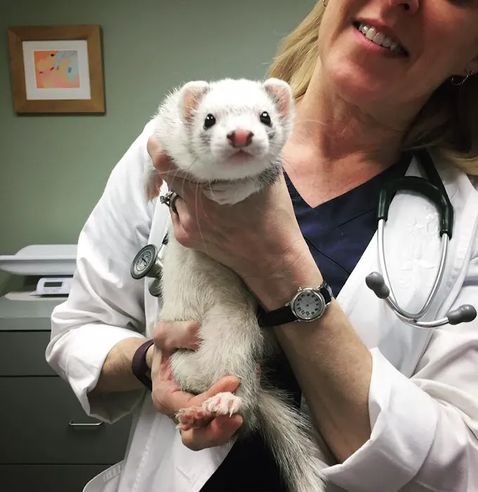 Sulin, Melissa J DVM - First Choice Veterinary Care, Inc. 6