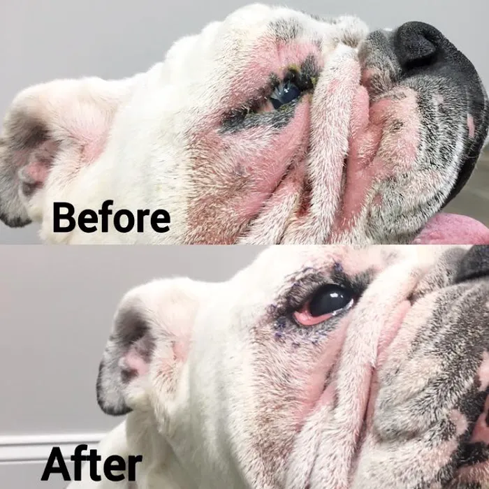 Sulin, Melissa J DVM - First Choice Veterinary Care, Inc. 2