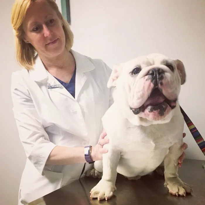 Sulin, Melissa J DVM - First Choice Veterinary Care, Inc. 7