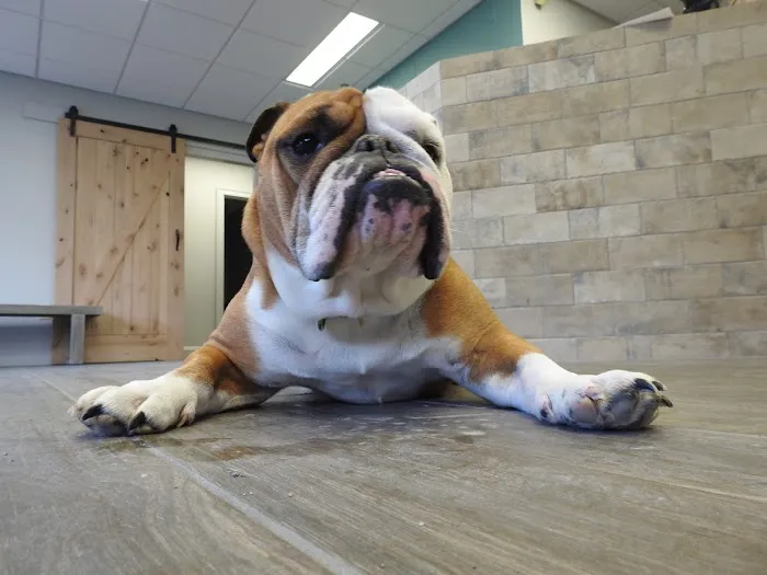 First Choice Veterinary Care, Inc. 1