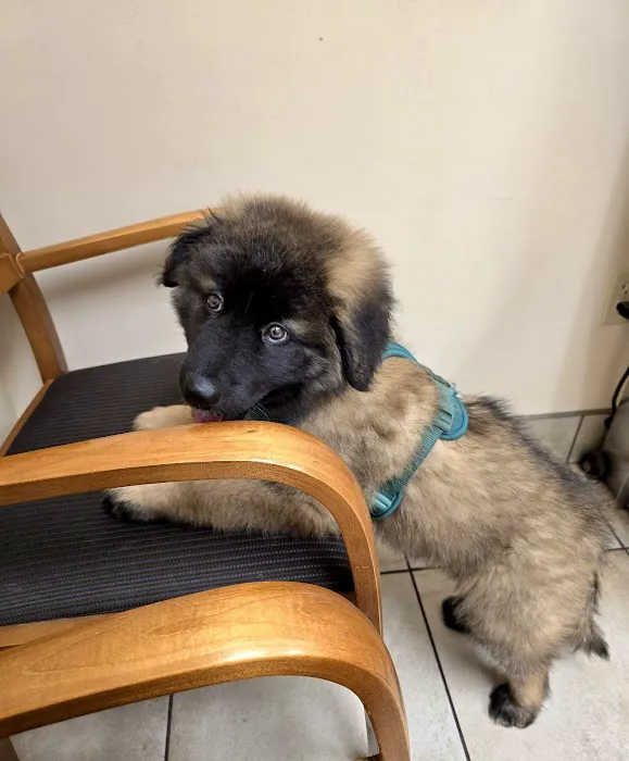Keep 'Em Healthy Veterinary Clinic 4