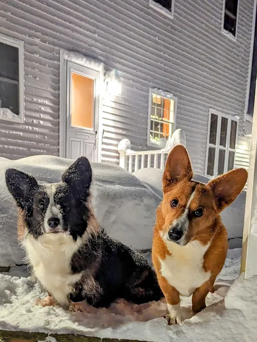 Jaffrey-Rindge Veterinary Hospital 1