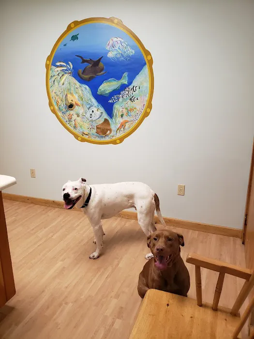 Borador Animal Hospital 7