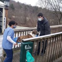 Hoosick Veterinary Clinic ico