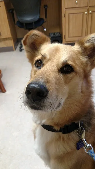 Hoosick Veterinary Clinic 4