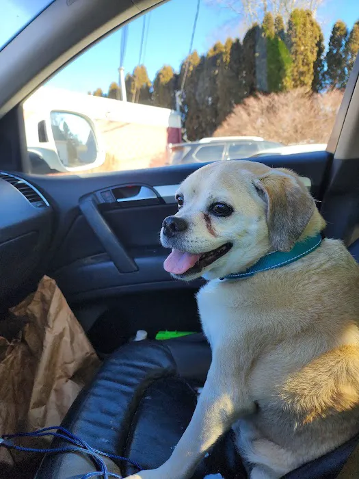 Northern Rhode Island Animal Hospital, A Thrive Pet Healthcare Partner 1