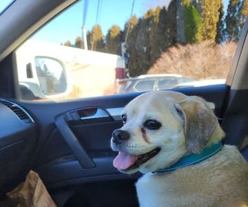 Northern Rhode Island Animal Hospital, A Thrive Pet Healthcare Partner