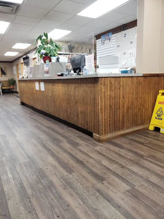 Northern Rhode Island Animal Hospital, A Thrive Pet Healthcare Partner 6