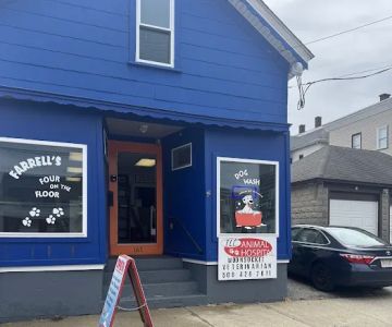 TLC Animal Hospital Woonsocket
