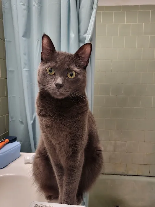 Banfield Pet Hospital 7