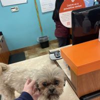 Banfield Pet Hospital ico