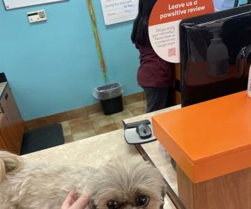 Banfield Pet Hospital