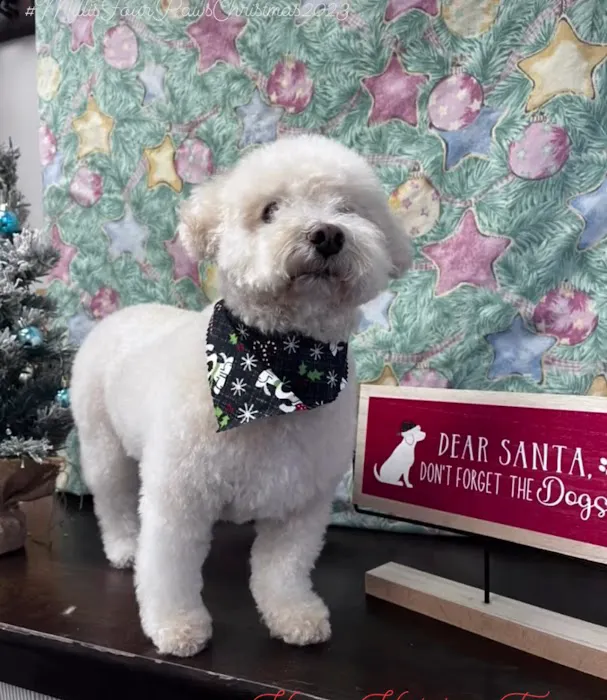 Banfield Pet Hospital 2