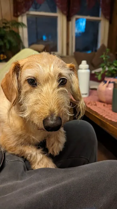 Upper Charles Animal Hospital 8