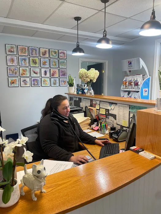 Upper Charles Animal Hospital 6