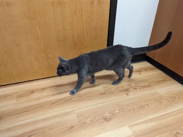 Diamond Hill Animal Clinic: Sheldon Heather DVM 7