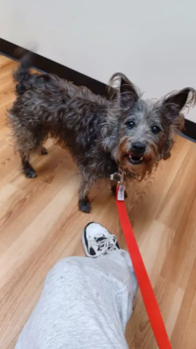 Diamond Hill Animal Clinic: Sheldon Heather DVM 2