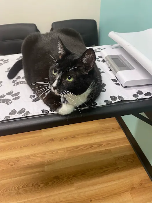 Diamond Hill Animal Clinic: Sheldon Heather DVM 5