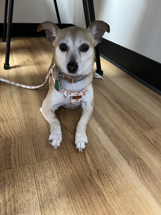 Diamond Hill Animal Clinic: Sheldon Heather DVM 8