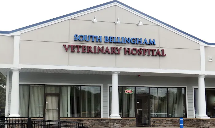 Diamond Hill Animal Clinic: Sheldon Heather DVM 9