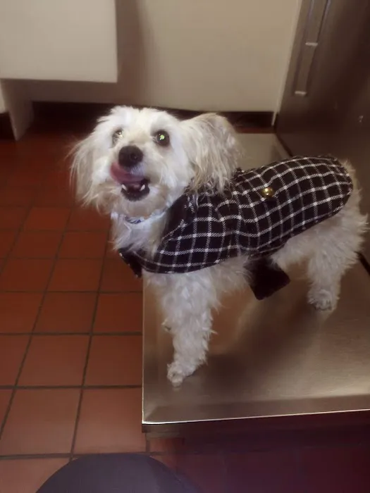 Diamond Hill Animal Clinic 2