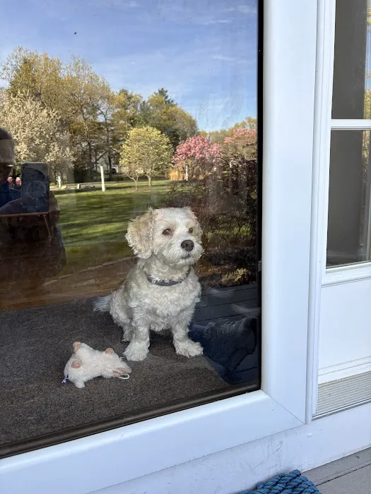 Medway Animal Hospital 3