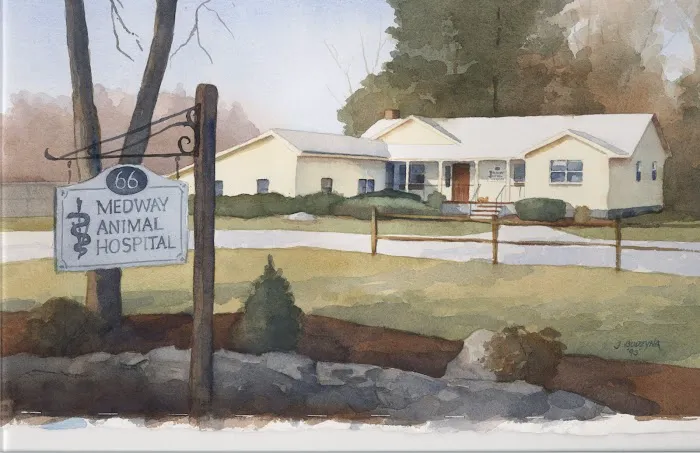 Medway Animal Hospital 10