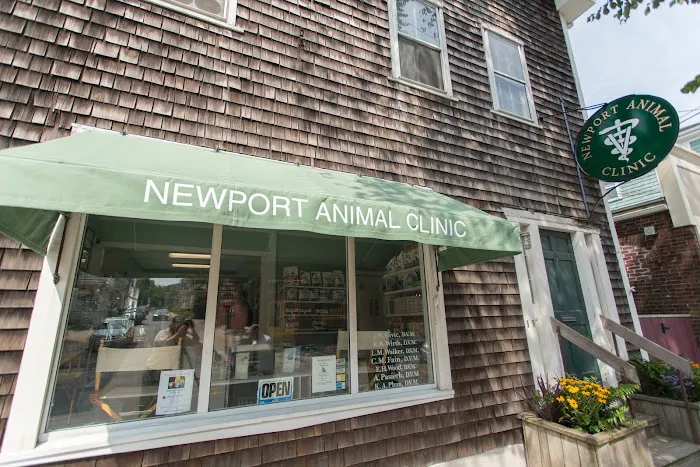 Newport Animal Clinic 5