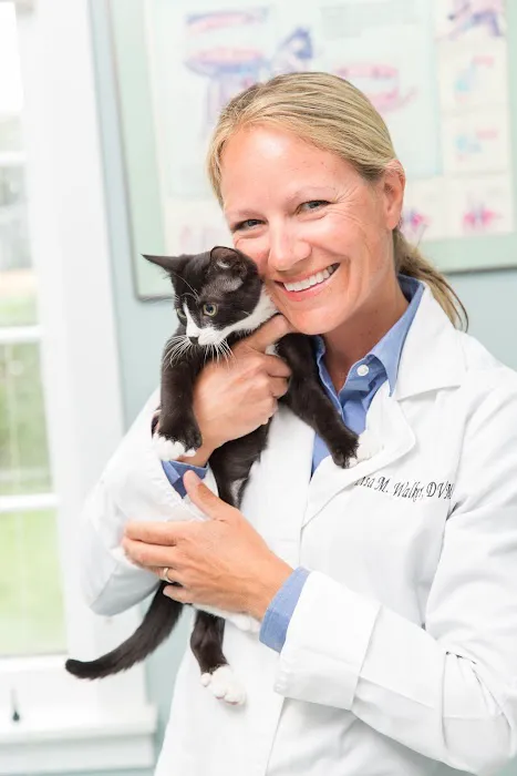 Newport Animal Clinic 3