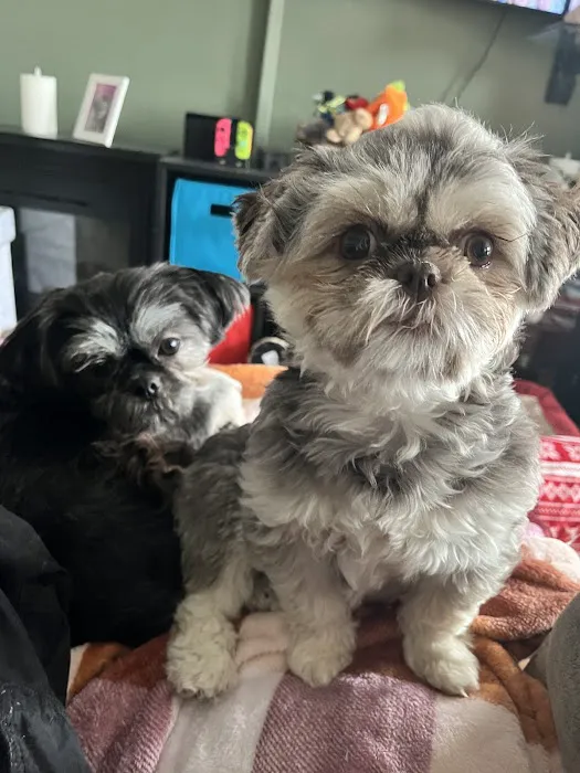 Newport Animal Hospital 6