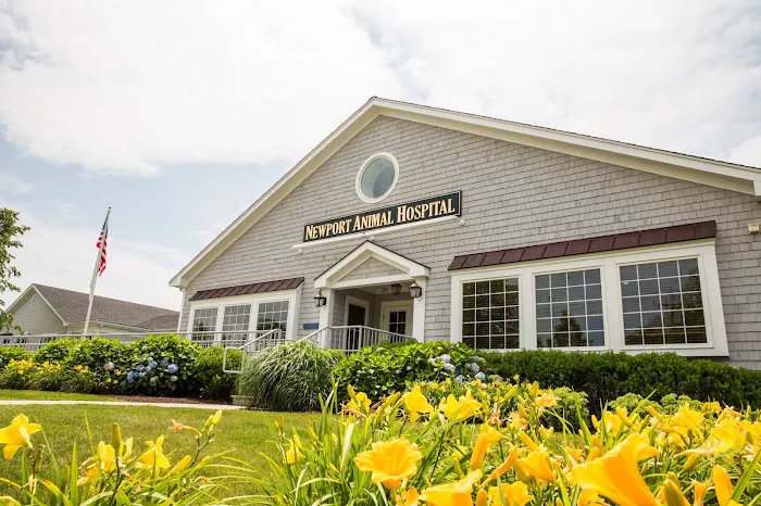 Newport Animal Hospital 9