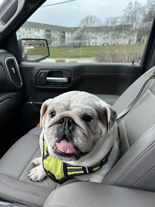 Newport Animal Hospital 8