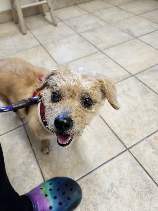 Newport Animal Hospital 5