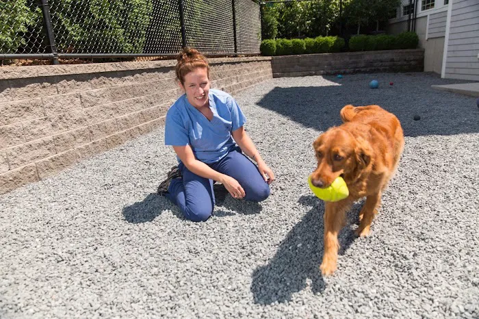 Newport Animal Hospital 10