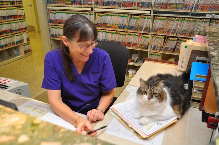 Portsmouth Veterinary Clinic 2