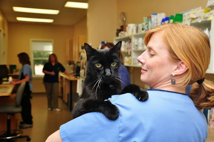 Portsmouth Veterinary Clinic 1
