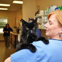 Portsmouth Veterinary Clinic ico