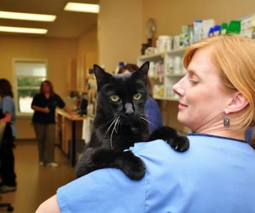 Portsmouth Veterinary Clinic
