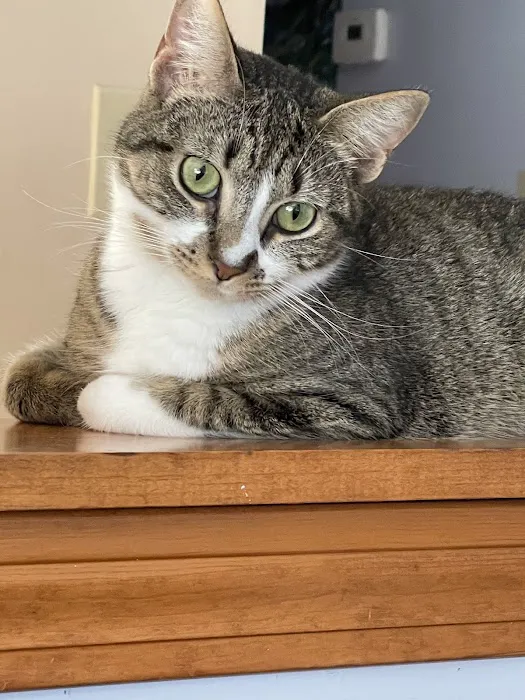Riverside Animal Hospital 3