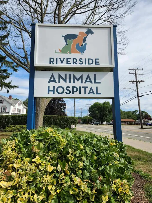 Riverside Animal Hospital 2
