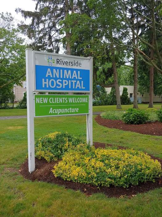 Riverside Animal Hospital 8