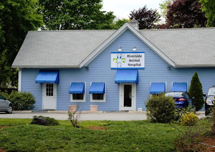 Riverside Animal Hospital 5