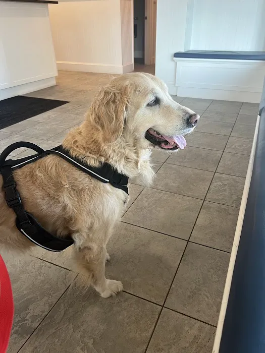 Providence River Animal Hospital 8
