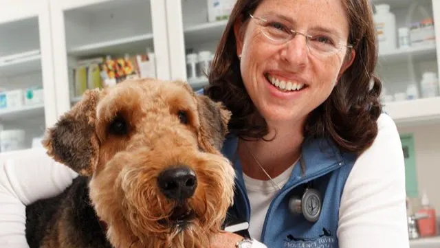 Providence River Animal Hospital 6