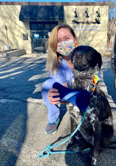 Providence River Animal Hospital 2