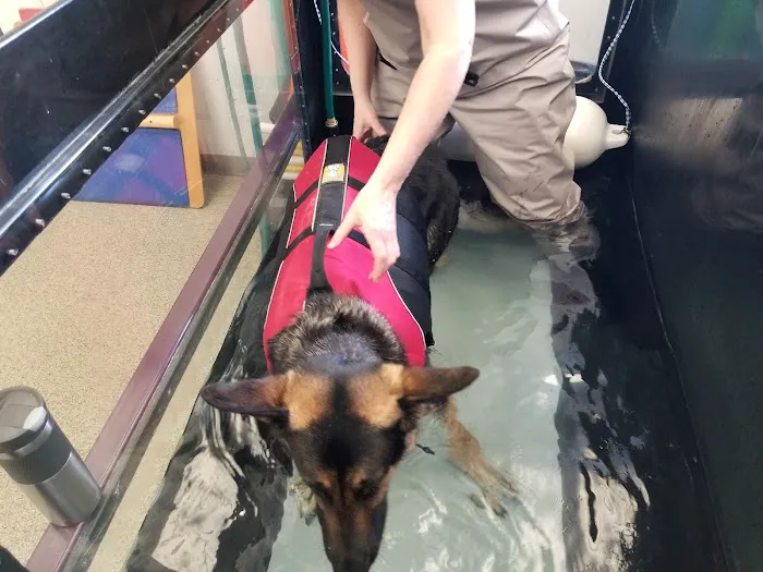 Healing Paws Veterinary Rehabilitation 4
